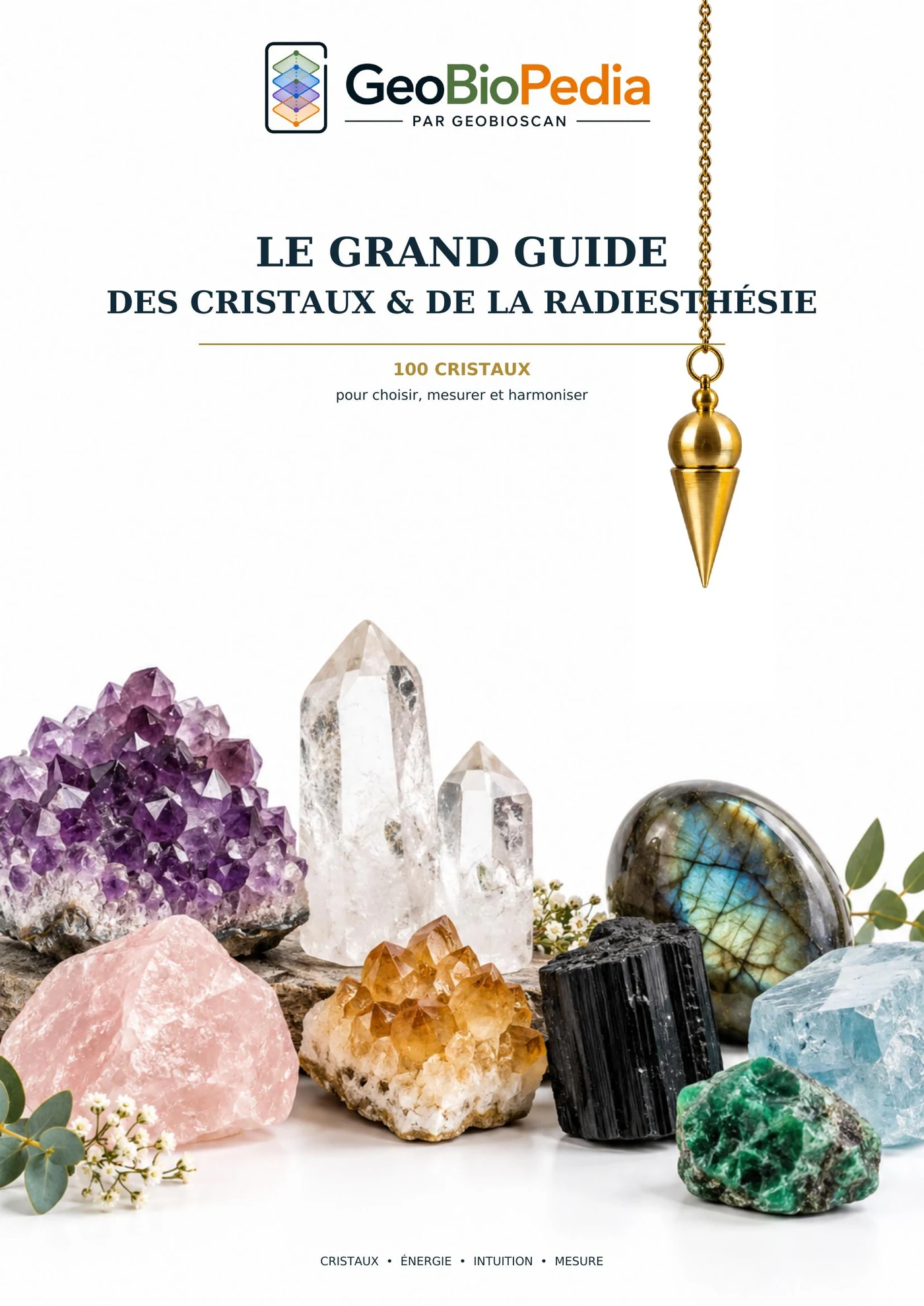 Couverture du Grand Guide des Cristaux et de la Radiesthésie