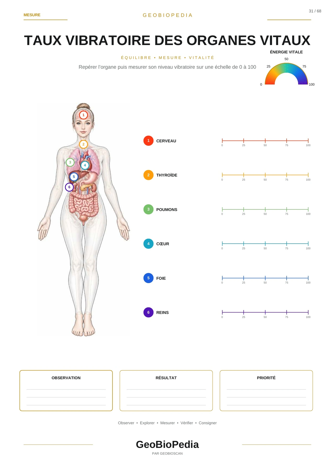 Cadran GeoBioScan de mesure du taux vibratoire des organes vitaux