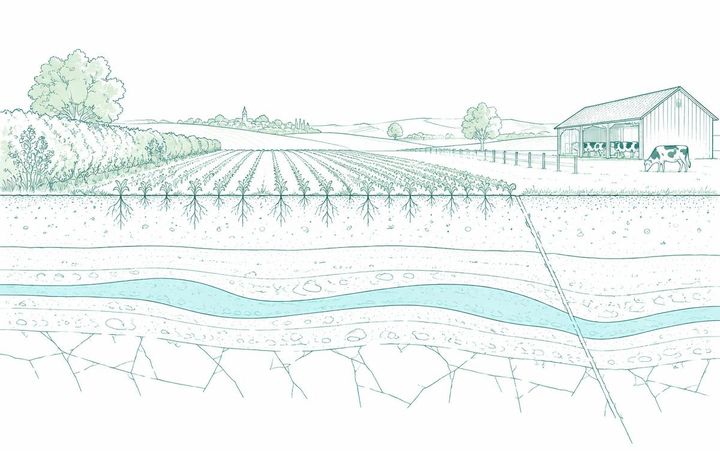 Illustration au trait fin vert d'eau : coupe d'une exploitation agricole avec champ, haie, étable et veine d'eau souterraine turquoise sous le sol.