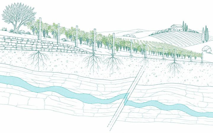 Illustration au trait fin vert d'eau : coupe d'un vignoble en coteau avec mur de pierre sèche, racines de vigne, veine d'eau souterraine turquoise et faille géologique.