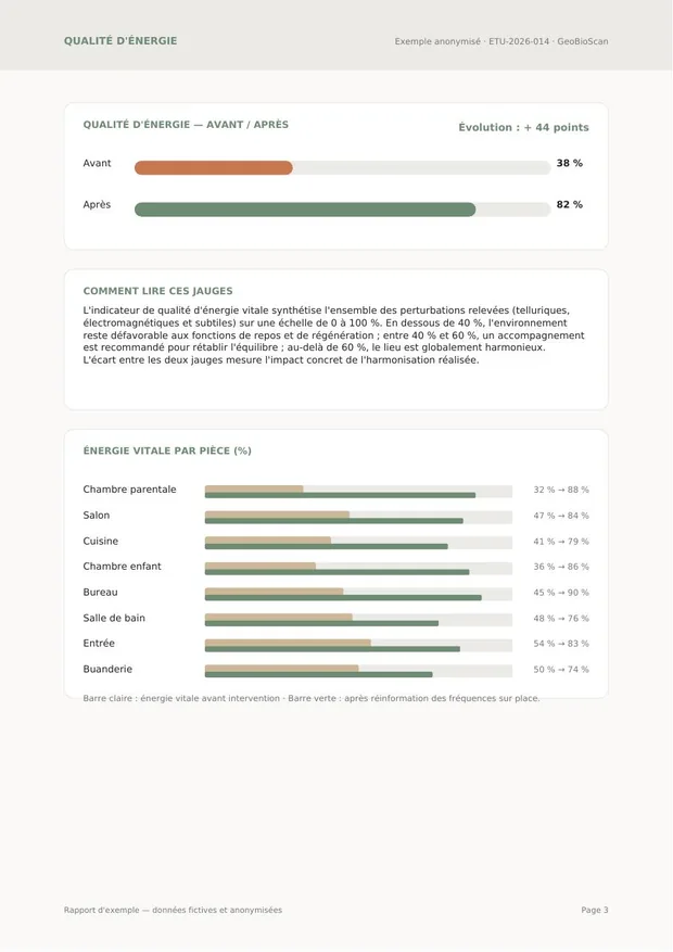Rapport GeoBioScan — Énergie avant / après